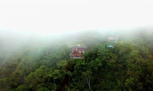 TTFS.07 Bosque Tropical del Chocó Andino 2 días